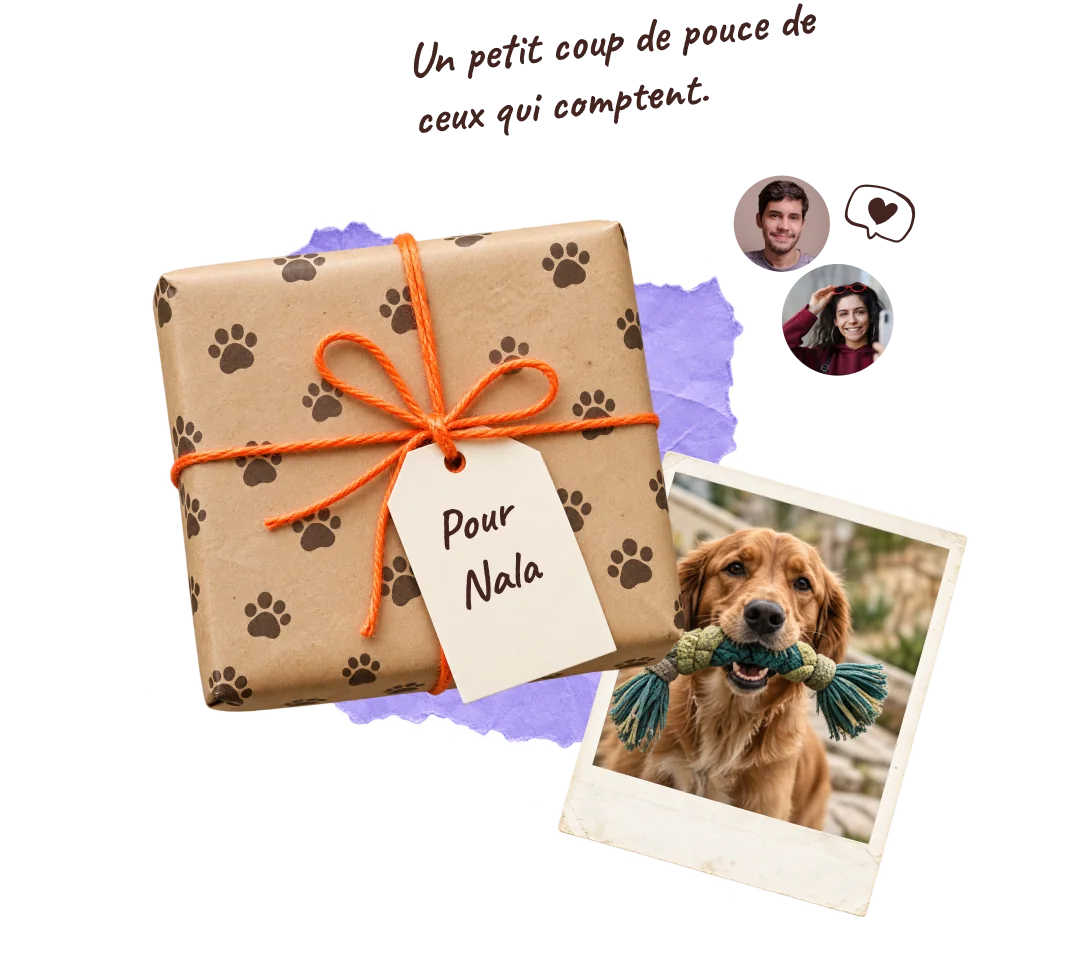 Un paquet cadeau « Pour Nala » et un golden retriever qui joue avec une corde. Note : « Un petit coup de pouce de ceux qui comptent. »
