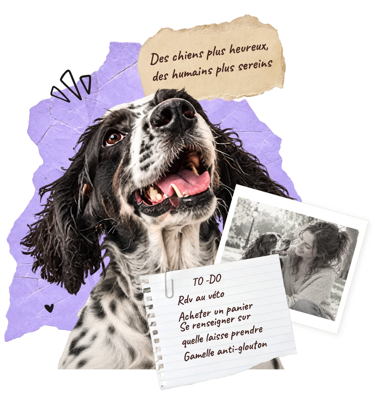 Un épagneul tout sourire, une photo polaroïd et une to-do : « Rdv au véto, acheter un panier, gamelle anti-glouton ». Note : « Des chiens plus heureux, des humains plus sereins ».